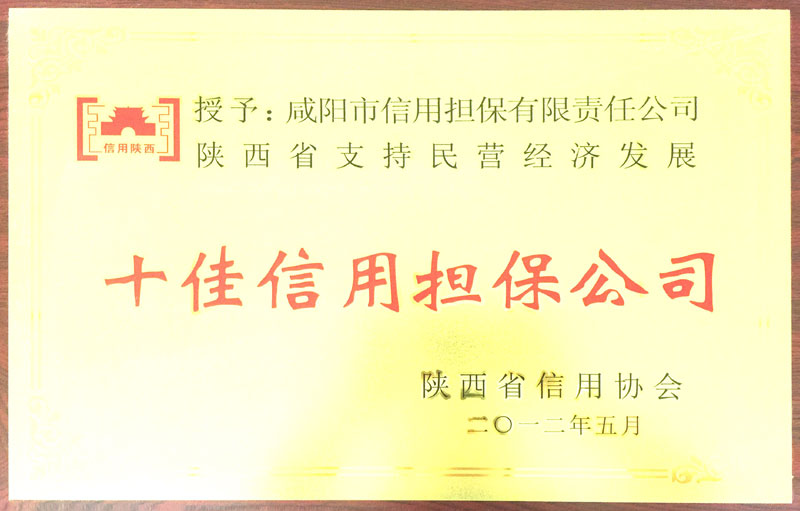 陕西省信用协会授予“十佳信用担保公司”
